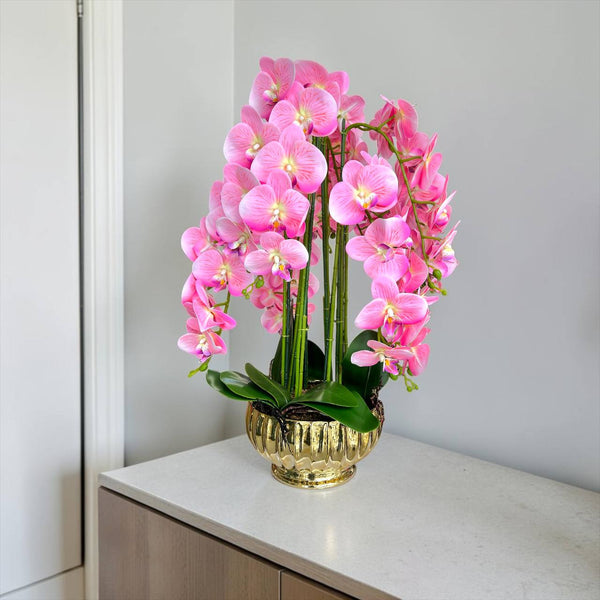 Orquidea Rosada CIELO
