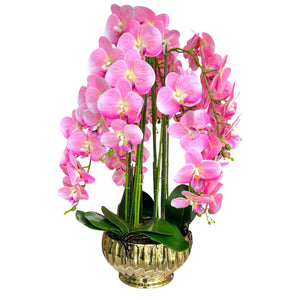 Orquidea Rosada CIELO