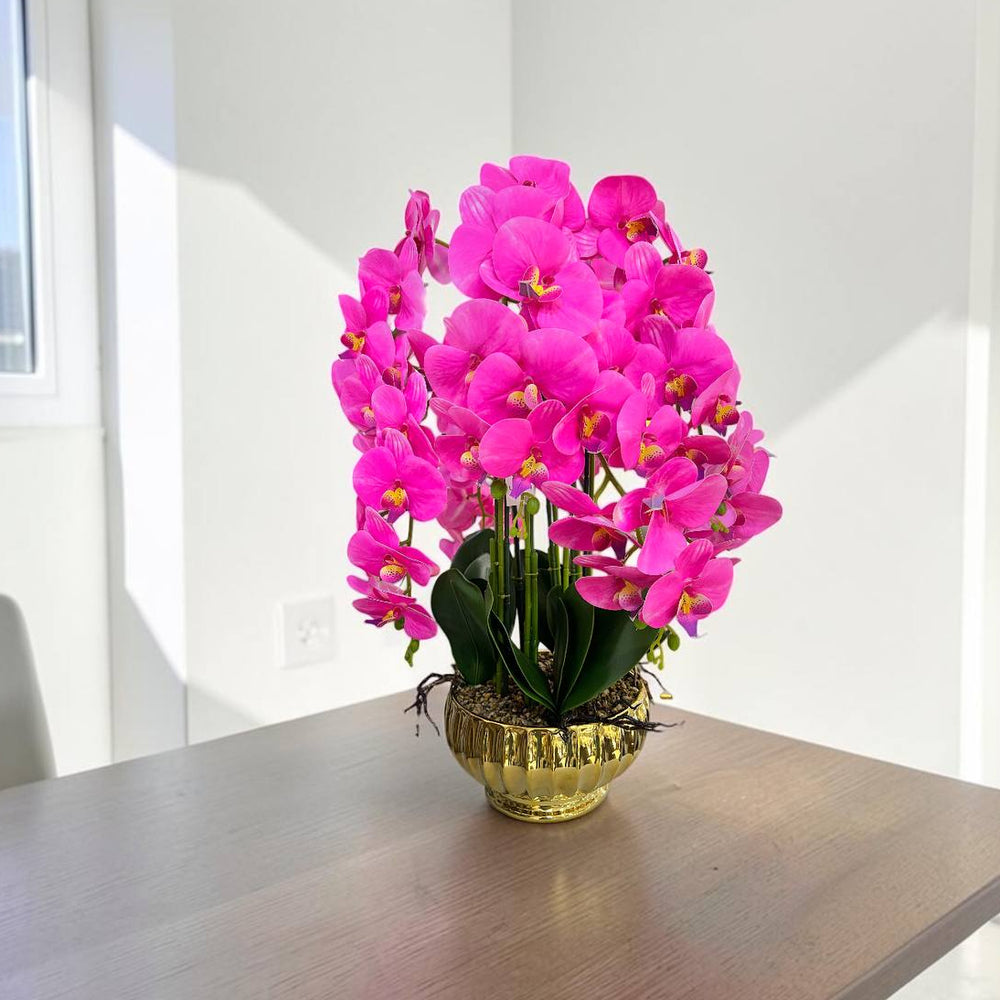 Orquidea Fucsia CIELO