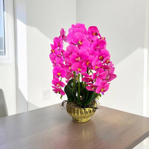 Orquidea Fucsia CIELO