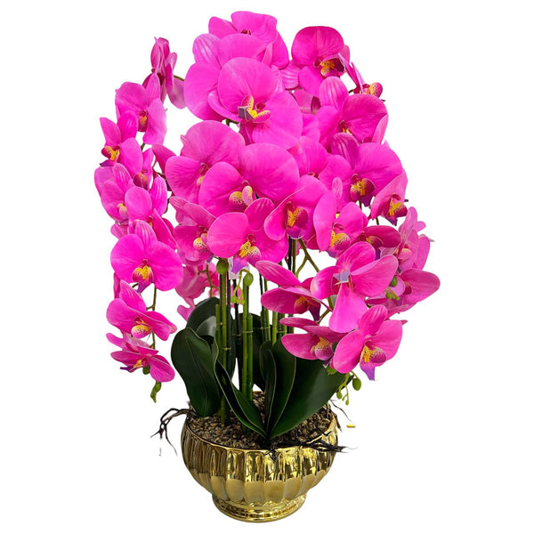 Orquidea Fucsia CIELO