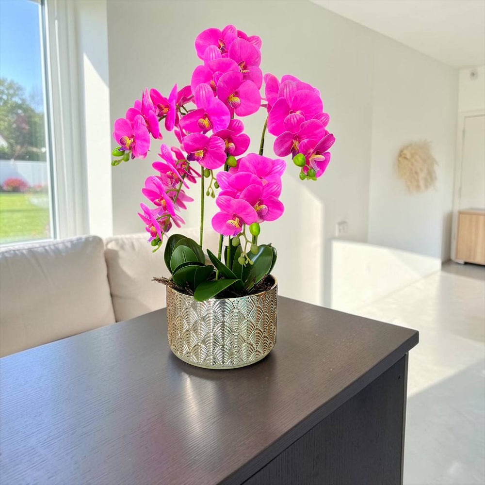Orquidea Fucsia MAR