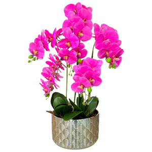Orquidea Fucsia MAR