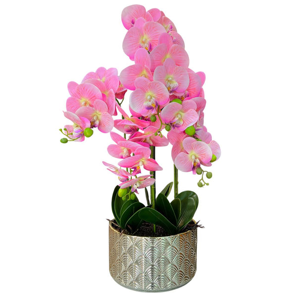 Orquidea Rosada  MAR