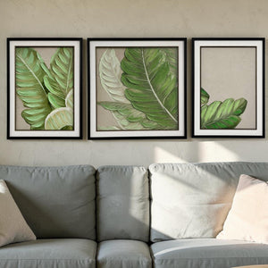 Set de Cuadros Hoja Tropical