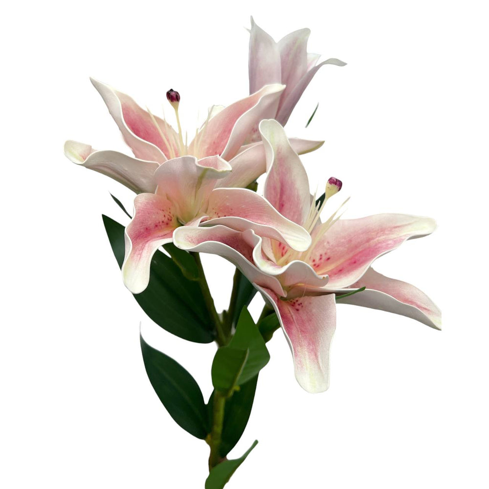 Lirio Rosado Pastel