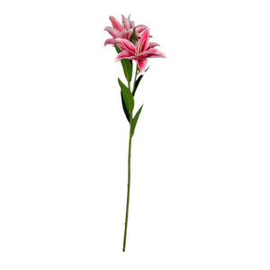 Lirio Fucsia