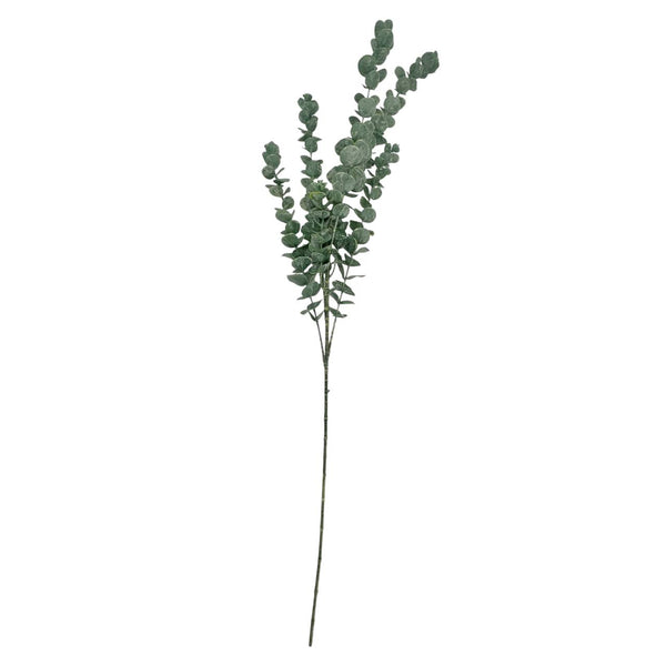 Rama Eucalipto Verde