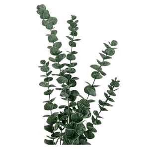 Rama Eucalipto Verde