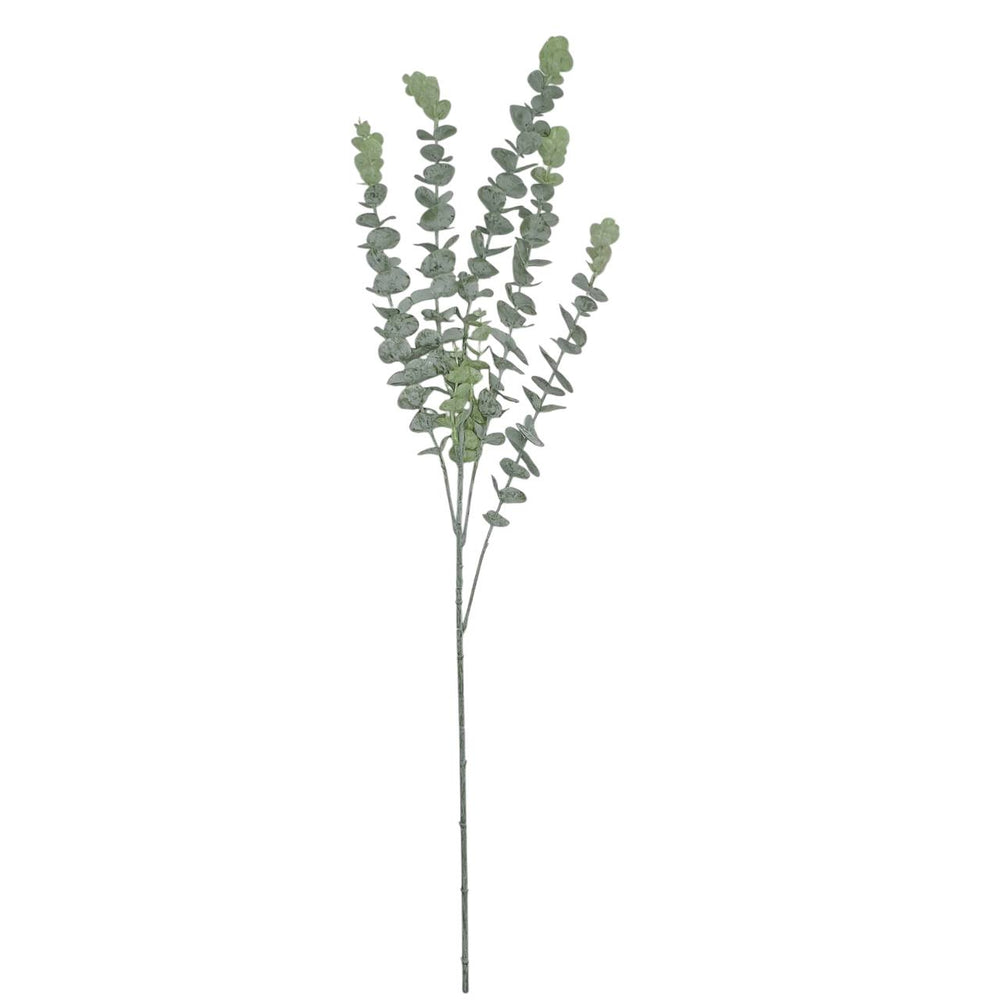 Rama Eucalipto Blanco