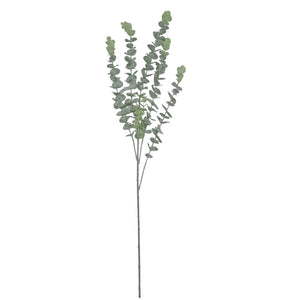 Rama Eucalipto Blanco