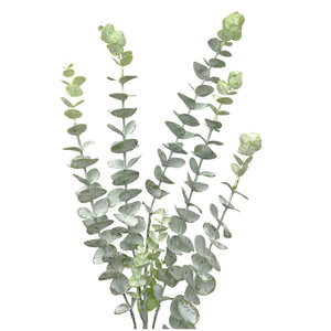 Rama Eucalipto Blanco