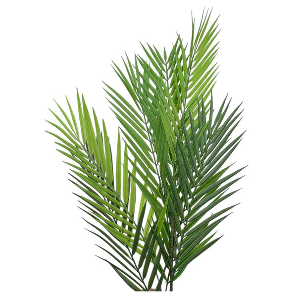 Rama Palma Verde