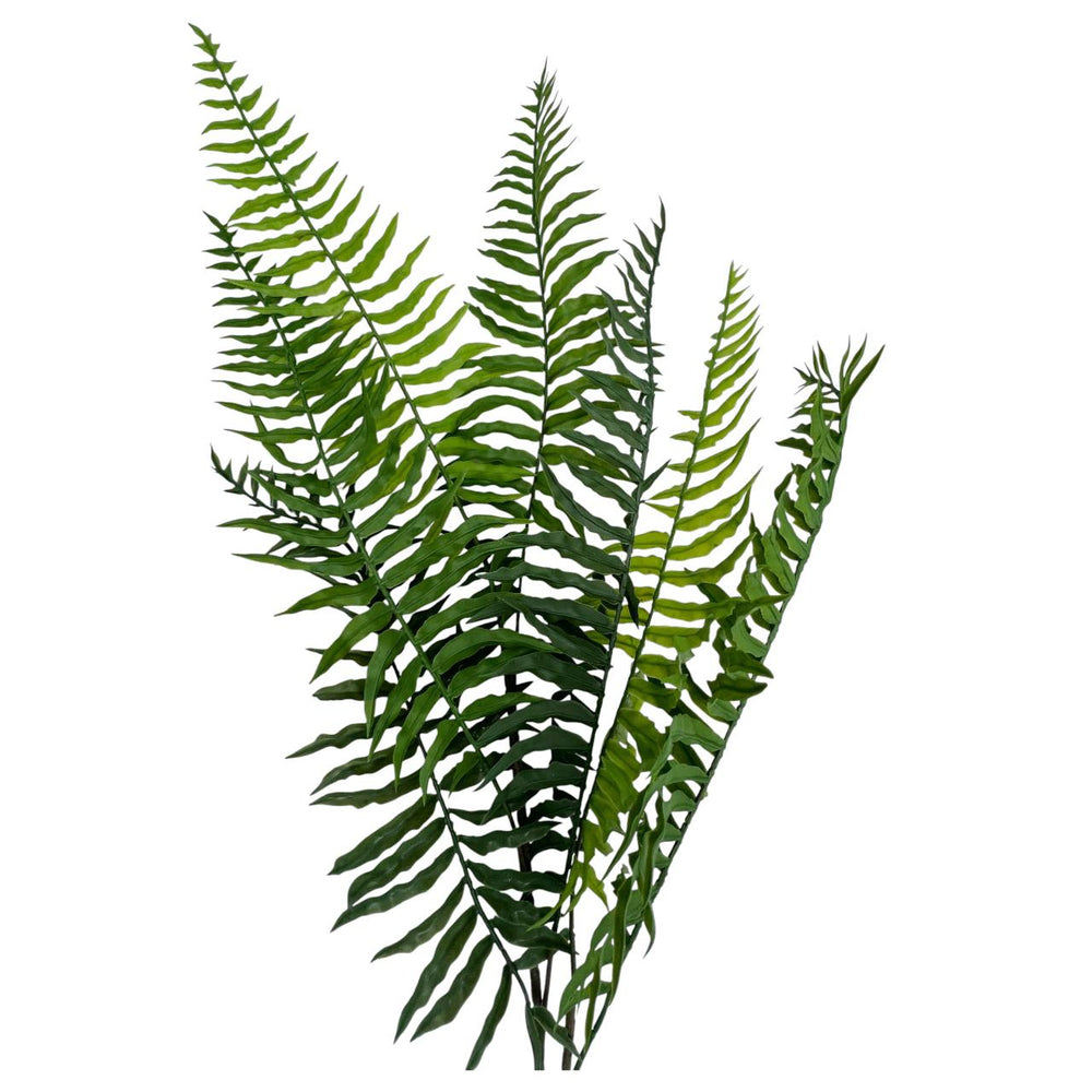 Rama Helecho Verde