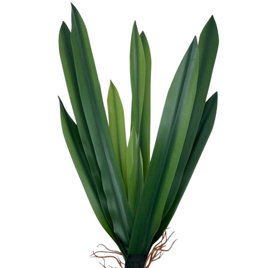 Rama Agave Verde