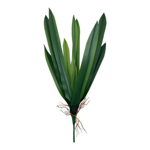 Rama Agave Verde