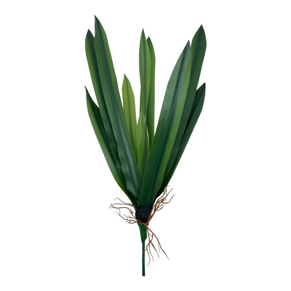 Rama Agave Verde