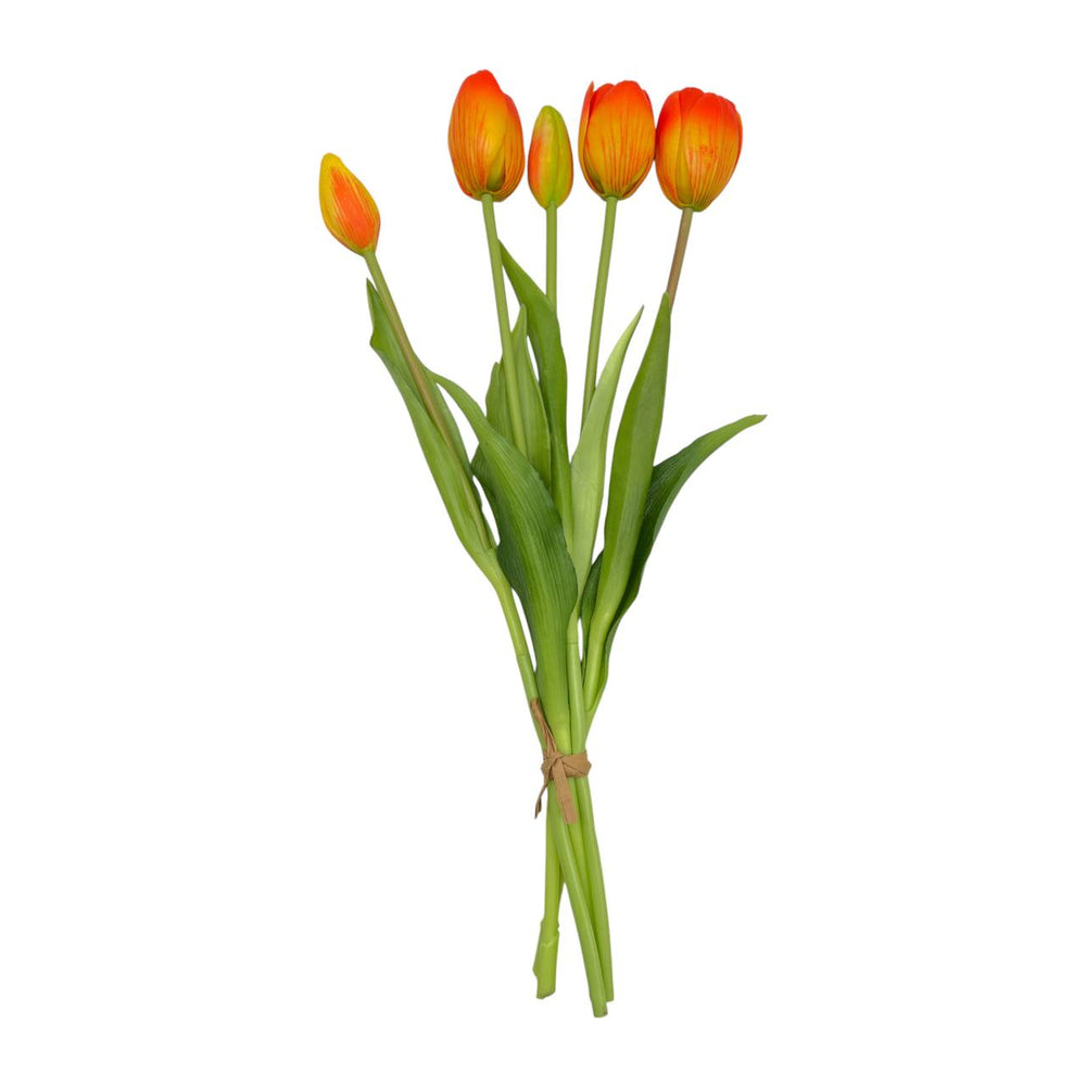 Tulipan Naranja X 5