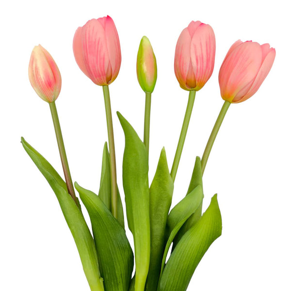 Tulipan Rosado X 5