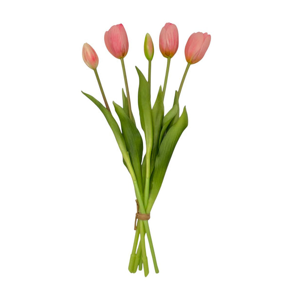 Tulipan Rosado X 5