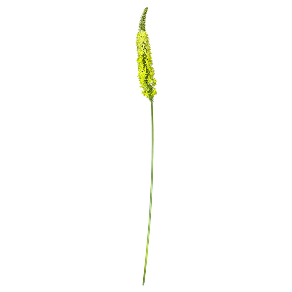 Flores Verdes B