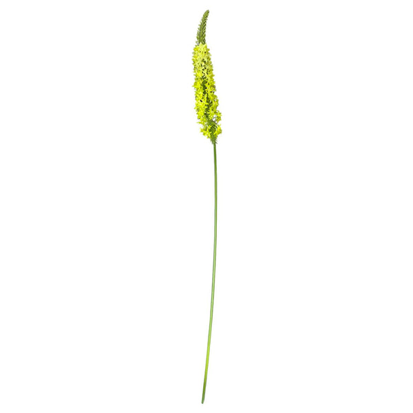 Flores Verdes B