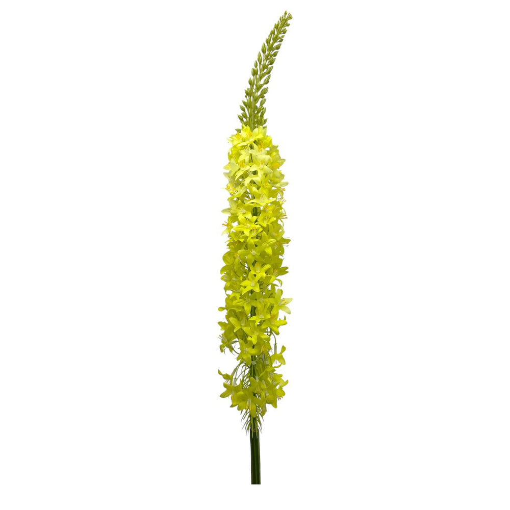 Flores Verdes B