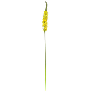Flores Amarilla A