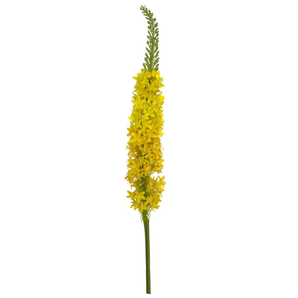 Flores Amarilla A