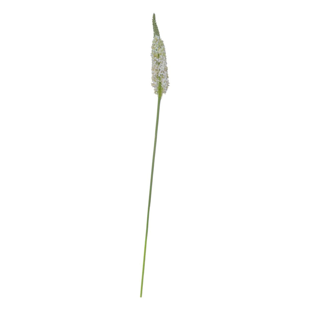Flores Blanca B