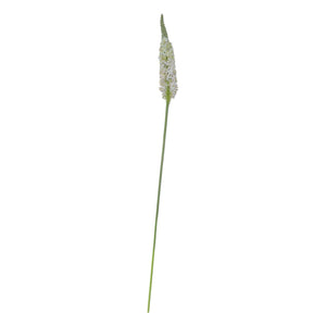 Flores Blanca B