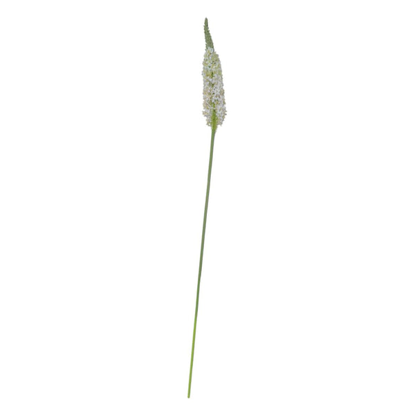 Flores Blanca B