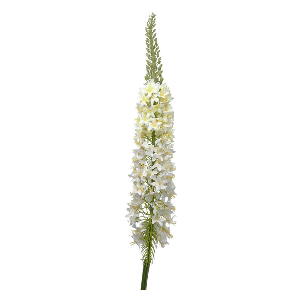 Flores Blanca B