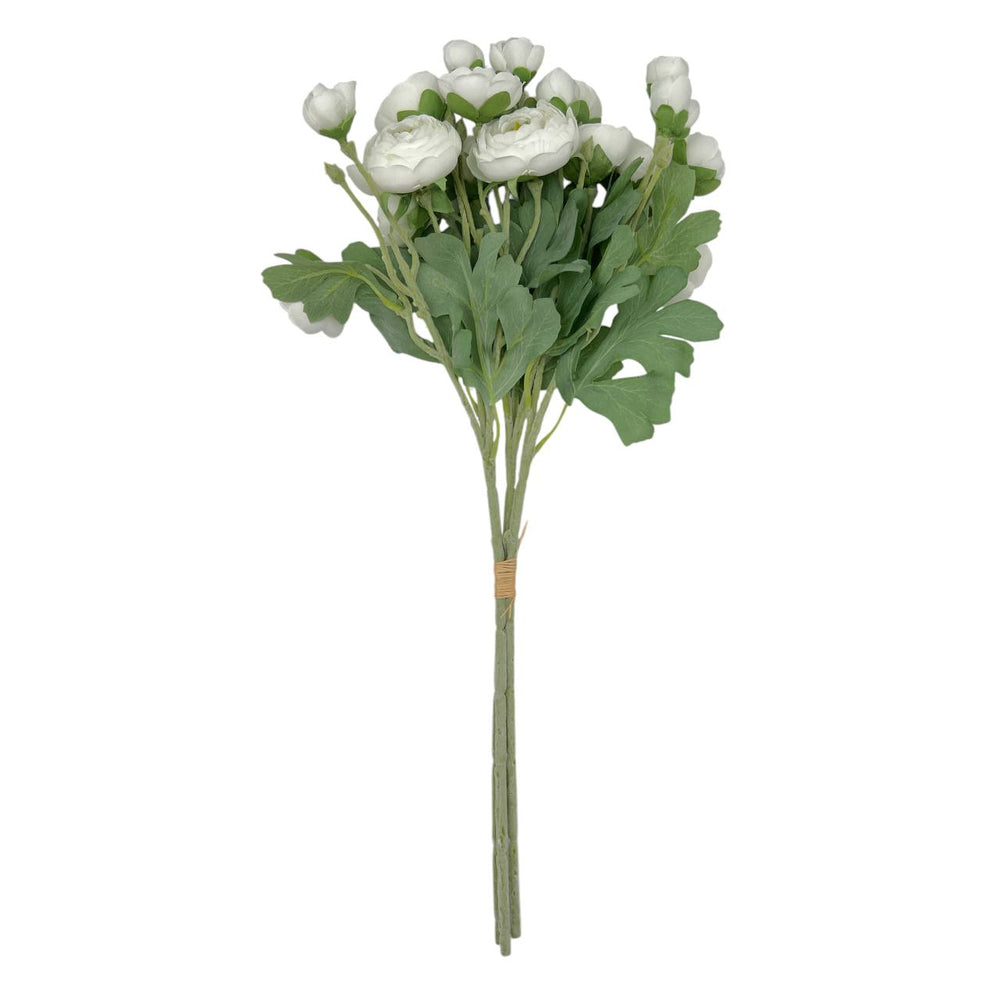 Flores Blancas 611