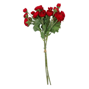 Flores Rojas 611