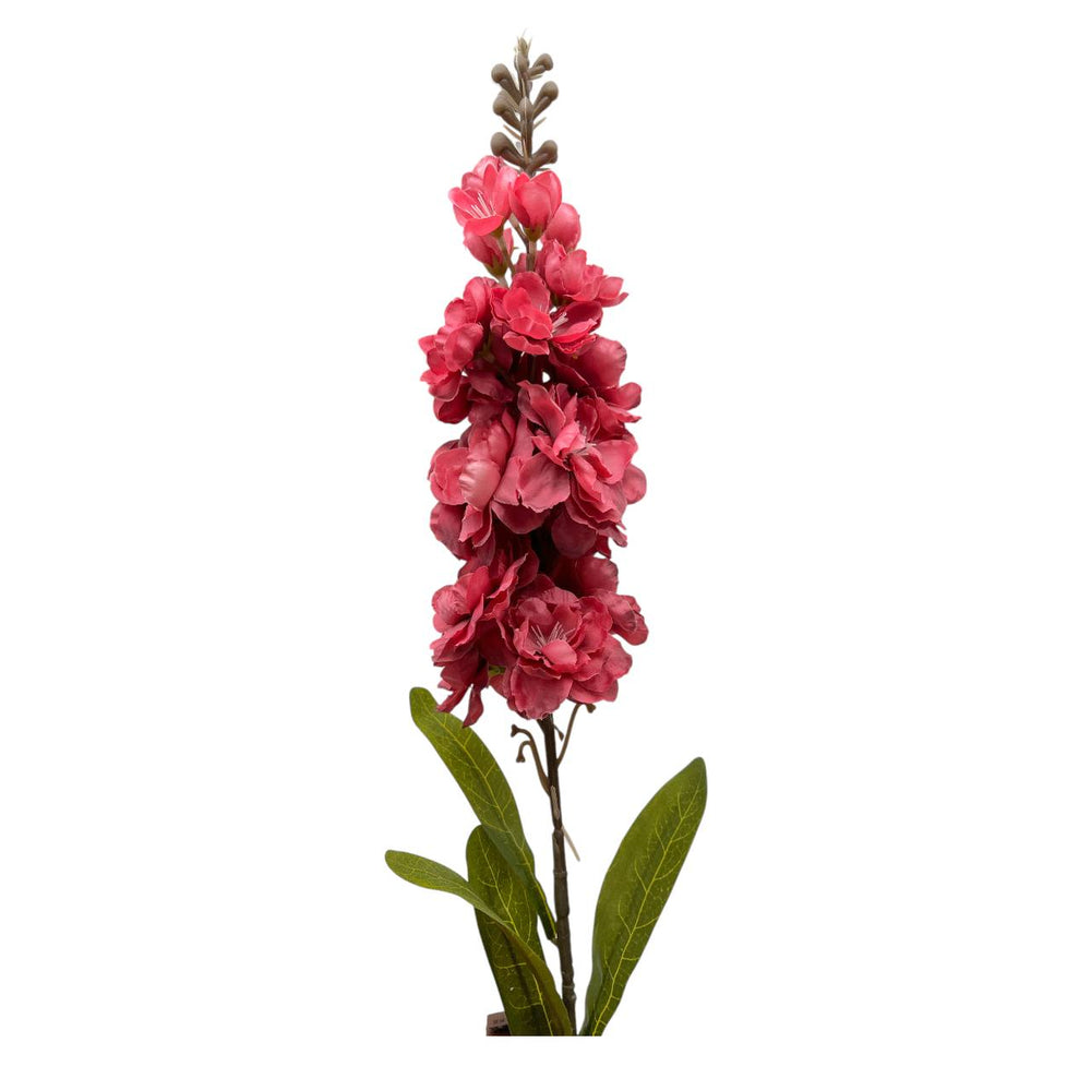Flores Fucsia 606