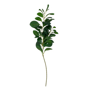 Follaje Verde 614