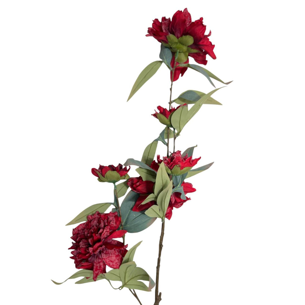 Flores 603A