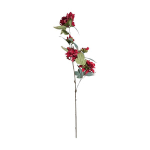 Flores 603A