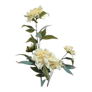 Flores 603B