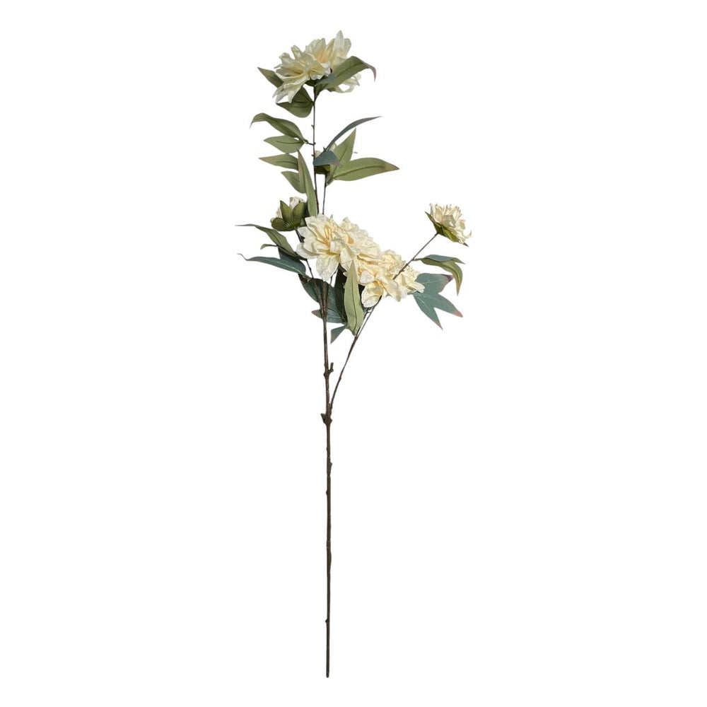 Flores 603B