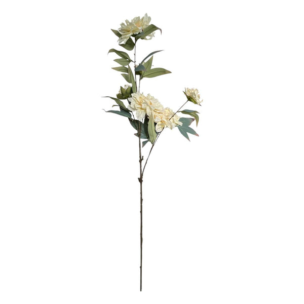 Flores 603B