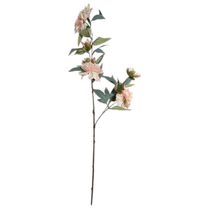 Flores 603C