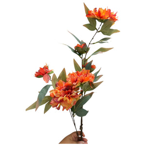 Flores 603D