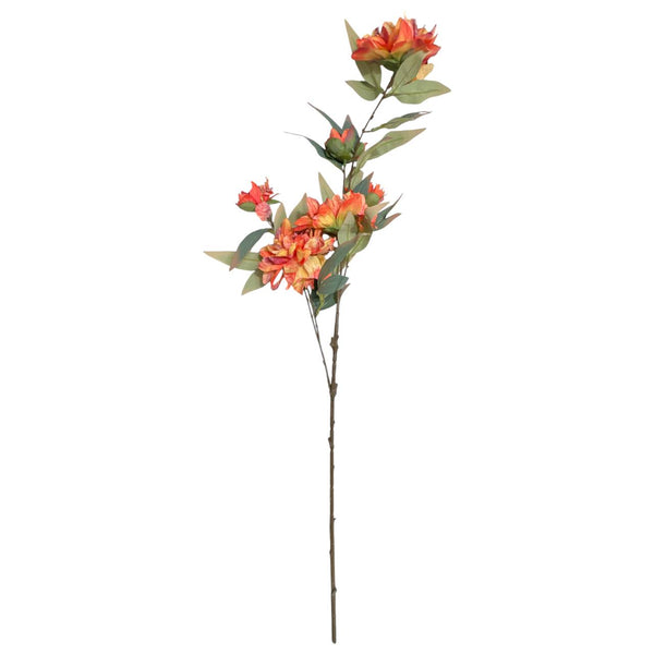 Flores 603D