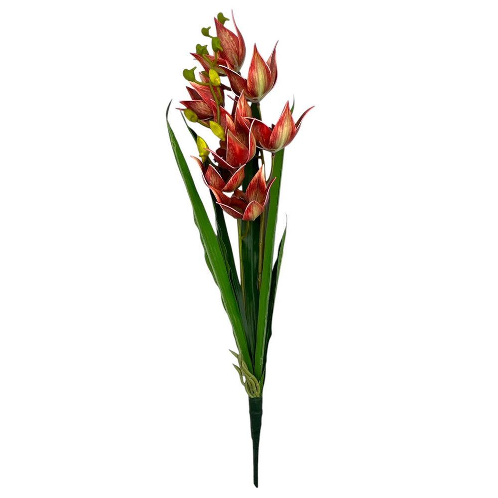 Flores  TOJA 610