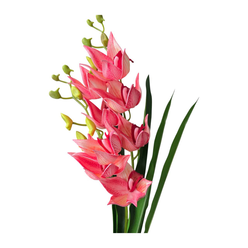 Flores  FUCSIA 610