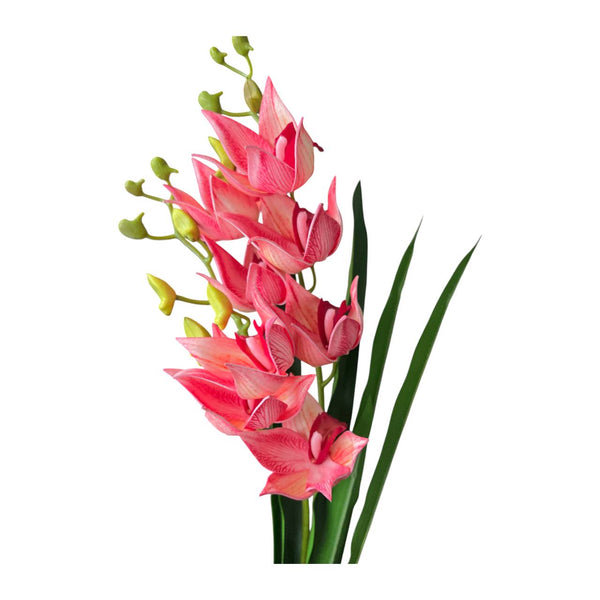 Flores  FUCSIA 610