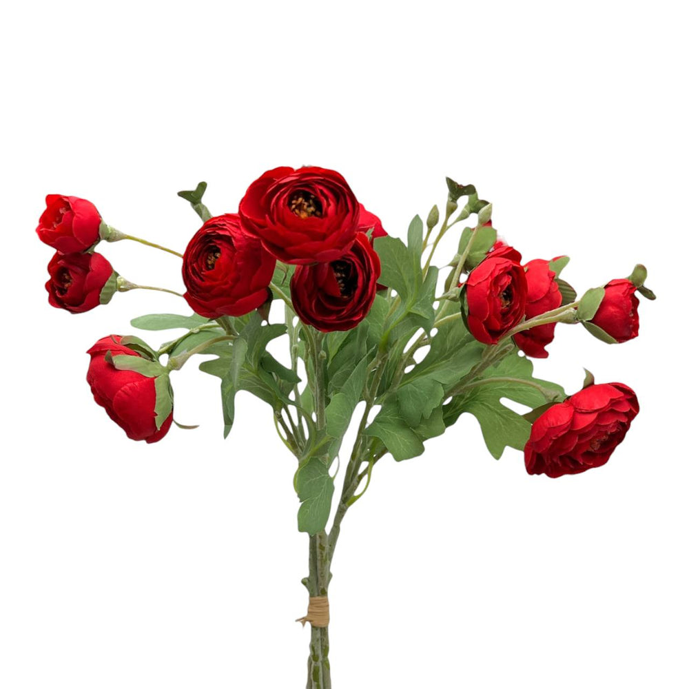 Flores Rojas 611