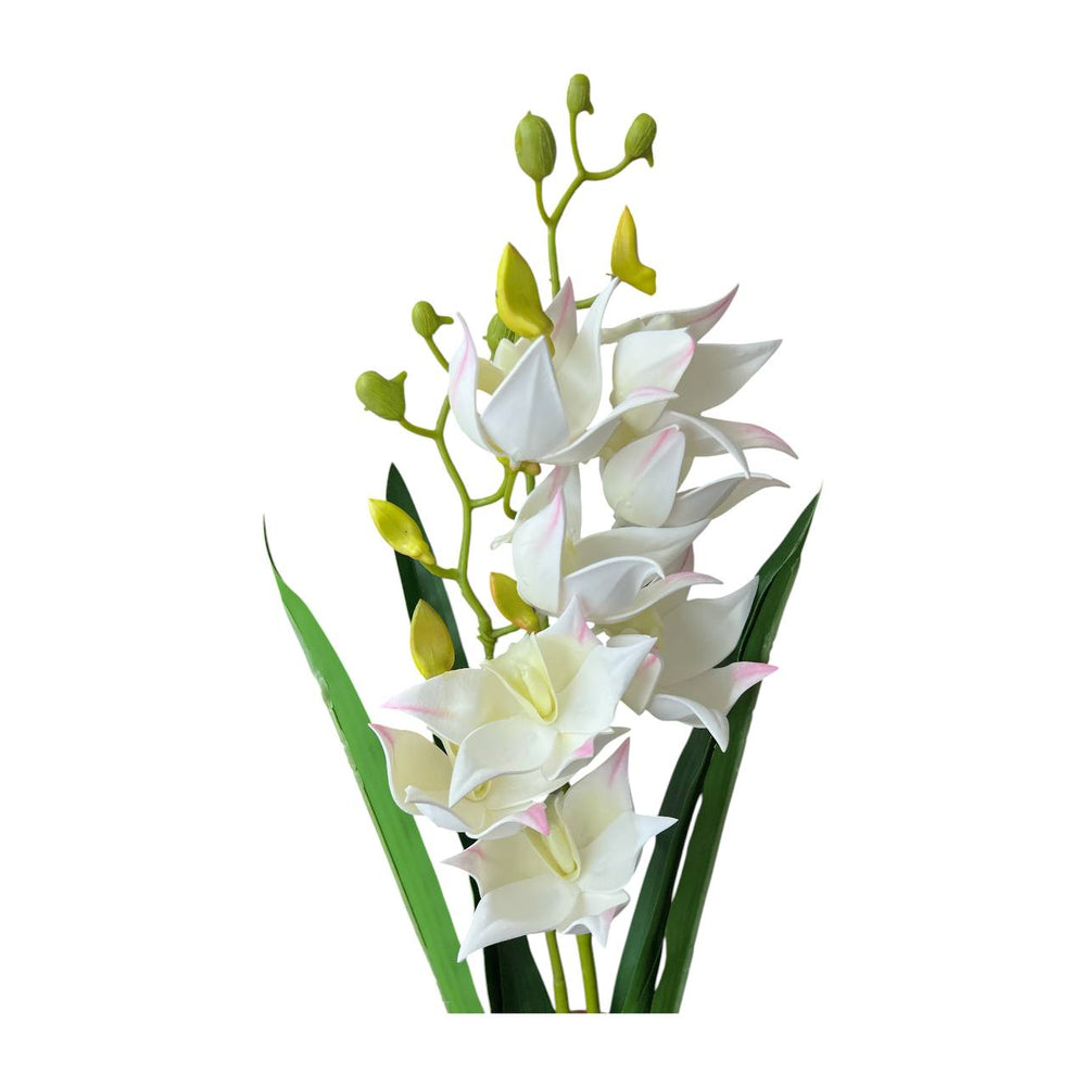 Flores  BLANCA 610